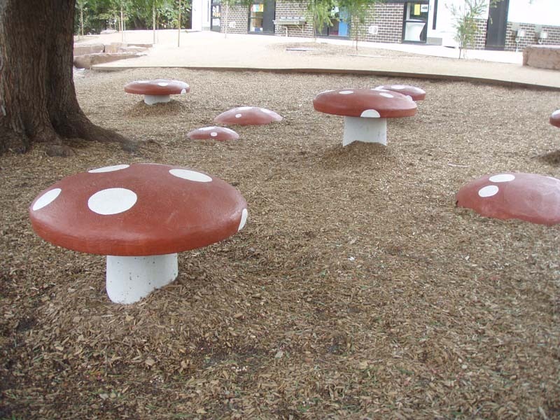 mushrooms at preston primary.jpg